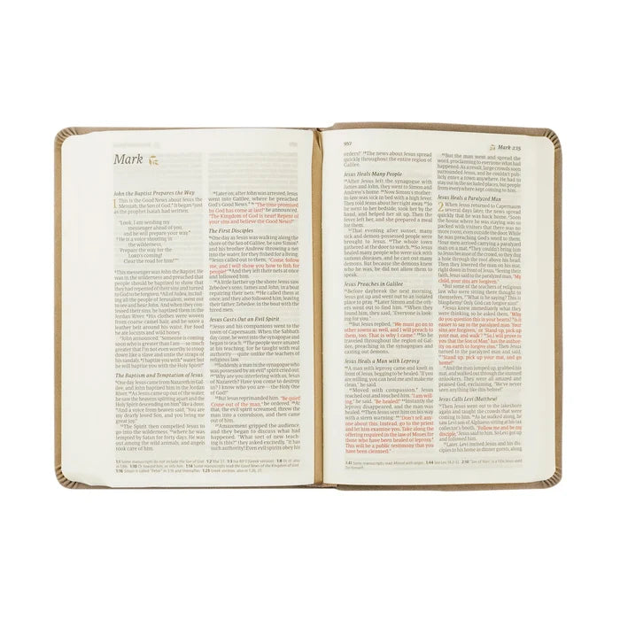 NLT Compact Bible: Marlo Theme