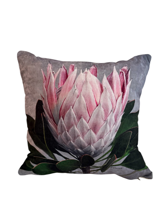 Painted Grey Protea Lux Velvet Pillow