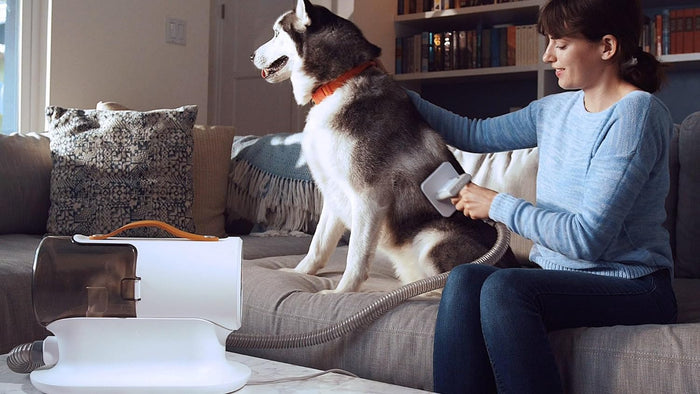 Pet Grooming Vacuum Cleaner