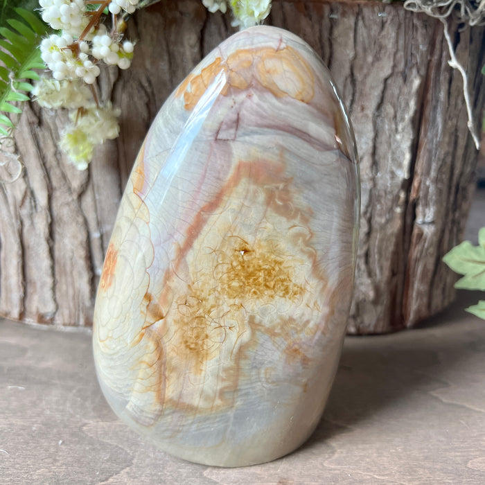 Polychrome Jasper Free Form