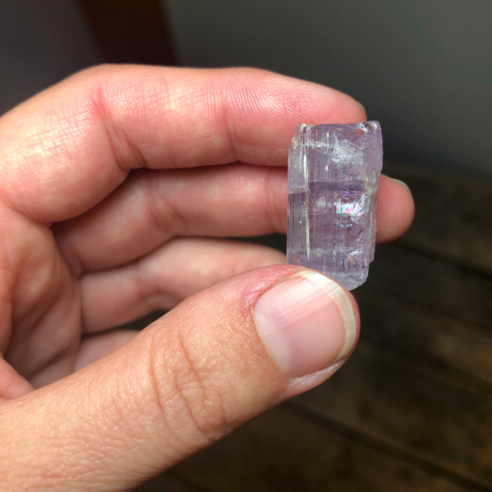 Scapolite