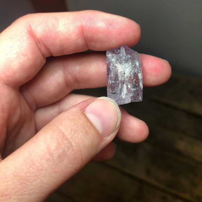 Scapolite