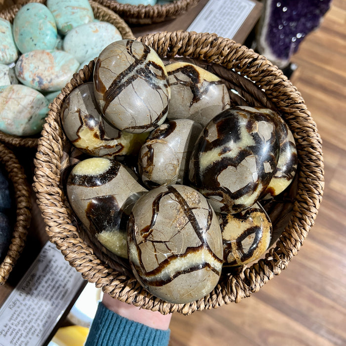 Septarian Nodule Palm Stone