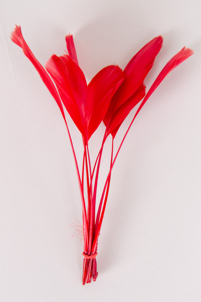 Stripped Coque Feathers Bundle of 8- Red Rubber Band