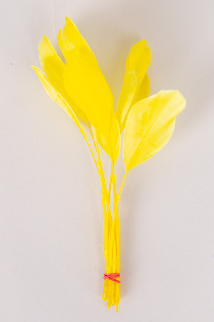 yellow