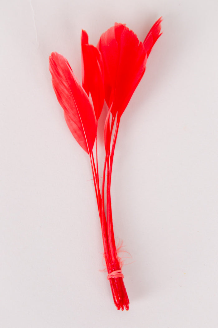Stripped Coque Feathers Bundle of 8- Red Rubber Band
