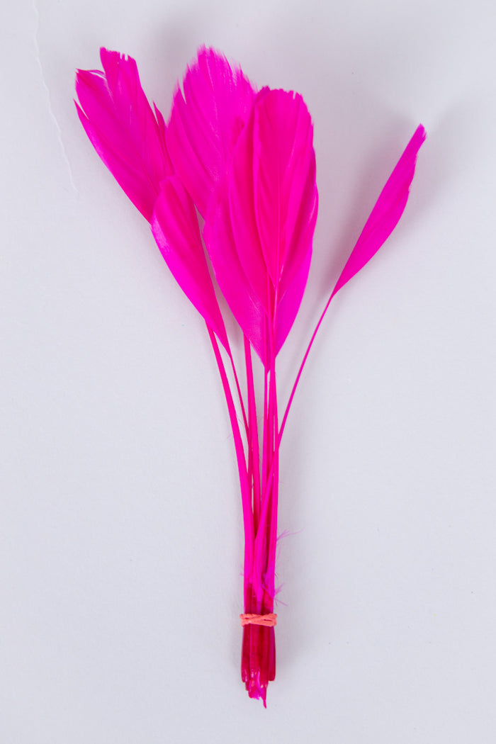 Stripped Coque Feathers Bundle of 8- Red Rubber Band