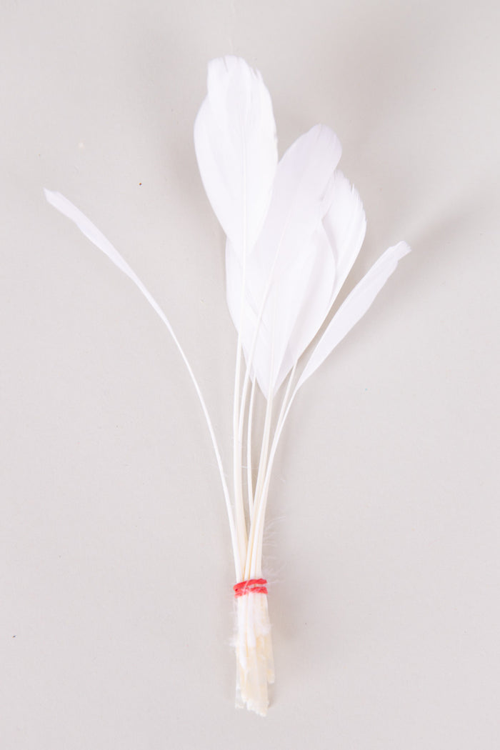 Stripped Coque Feathers Bundle of 8- Red Rubber Band