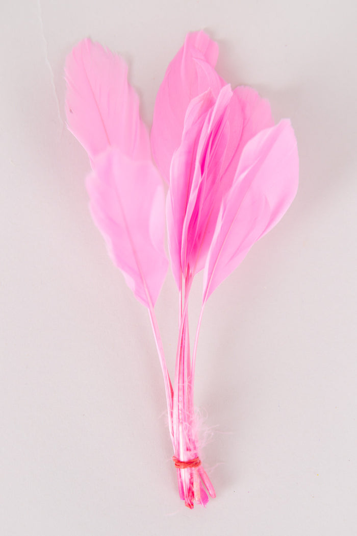 Stripped Coque Feathers Bundle of 8- Red Rubber Band