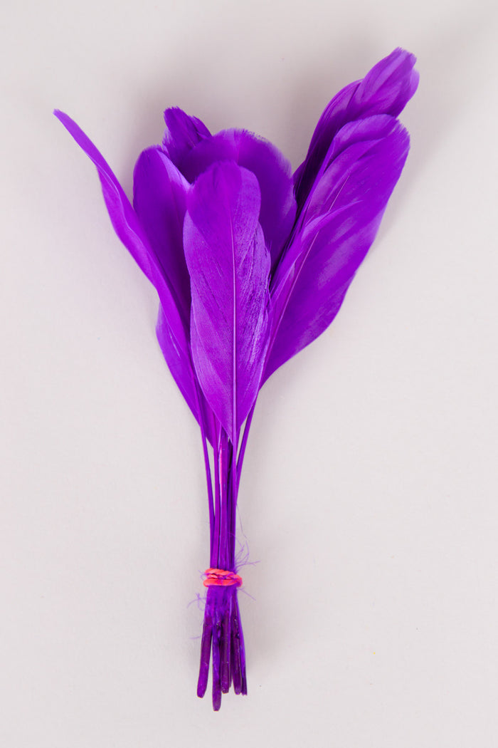 Stripped Coque Feathers Bundle of 8- Red Rubber Band