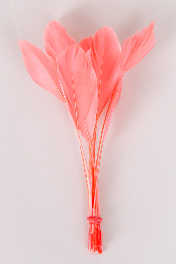 Stripped Coque Feathers Bundle of 8- Red Rubber Band