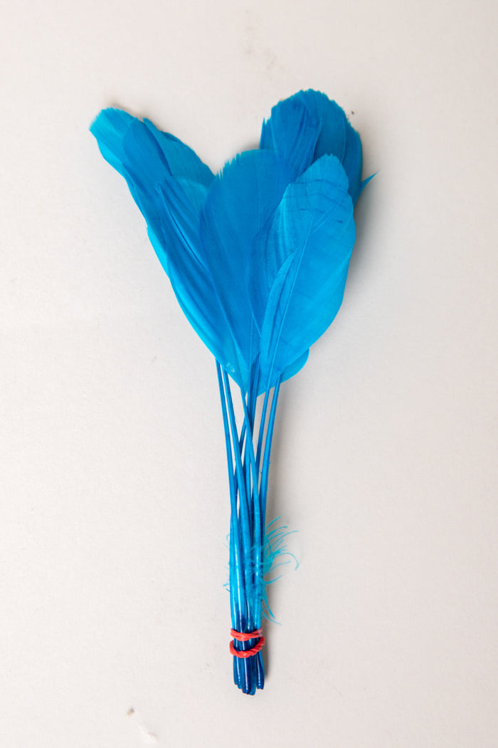 teal blue