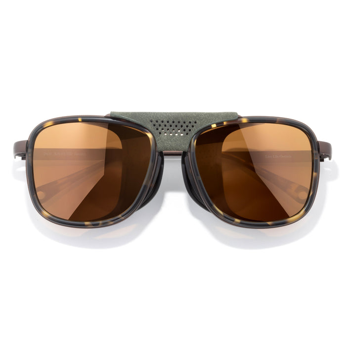 Tortoise Bronze