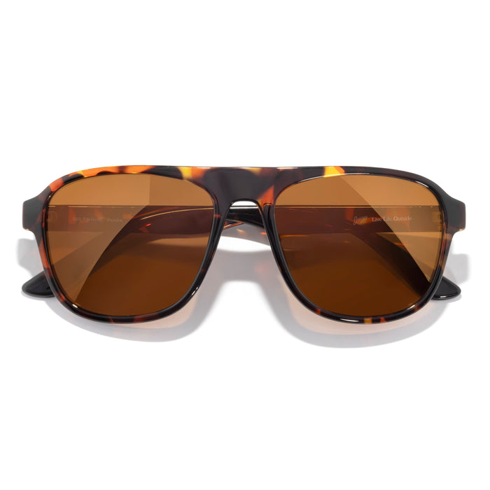 Tortoise Bronze