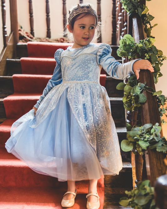 Elsa Inspired Girls prncess dress