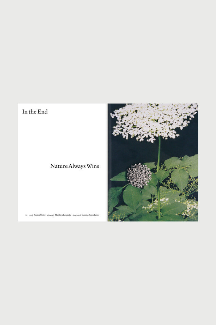 The Plant Magazine Issue 23