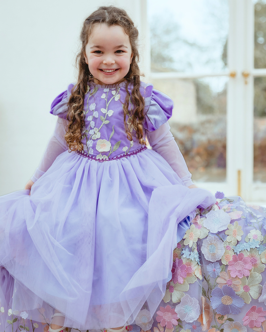 The Rapunzel, embroidered velvet princess dress with a soft tulle skirt