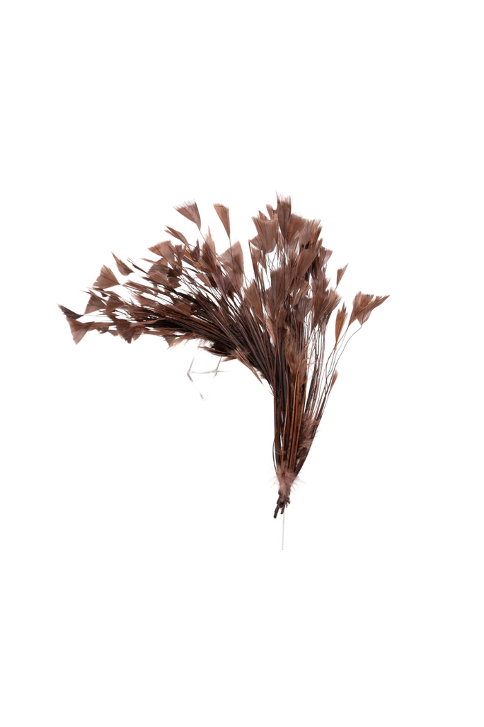 Turkey Feather Bunch - FINAL SALE