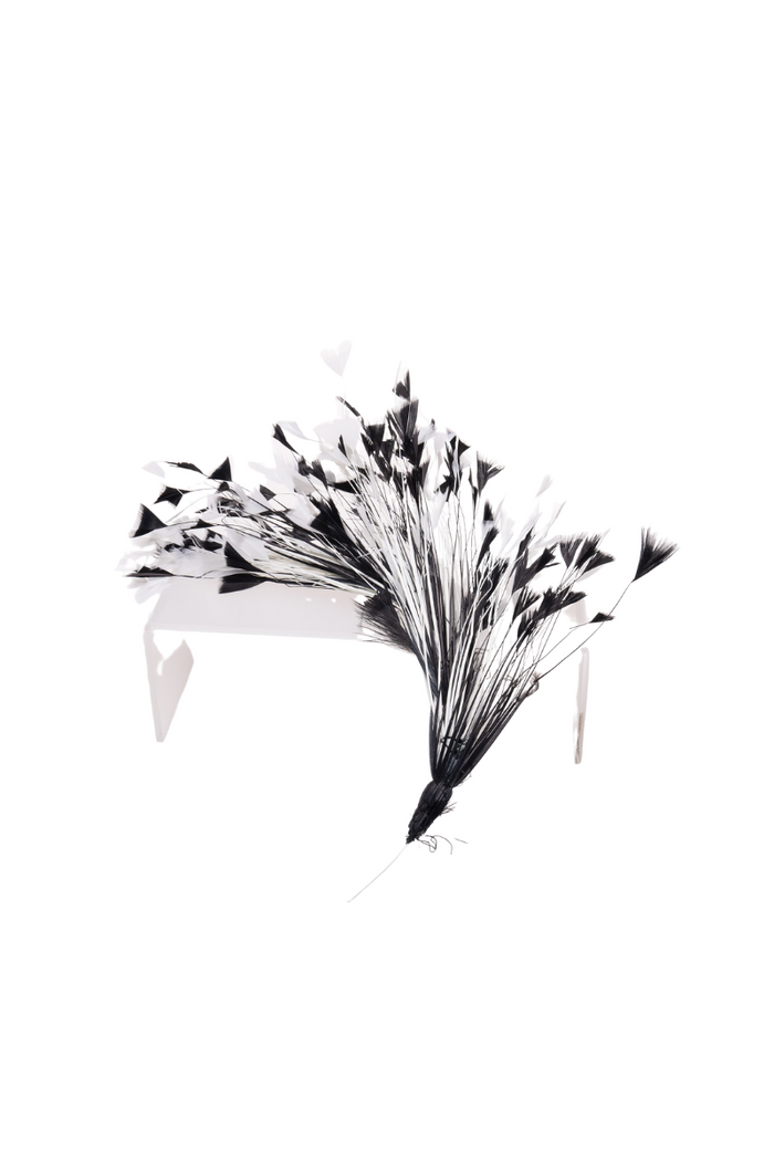 Turkey Feather Bunch - FINAL SALE