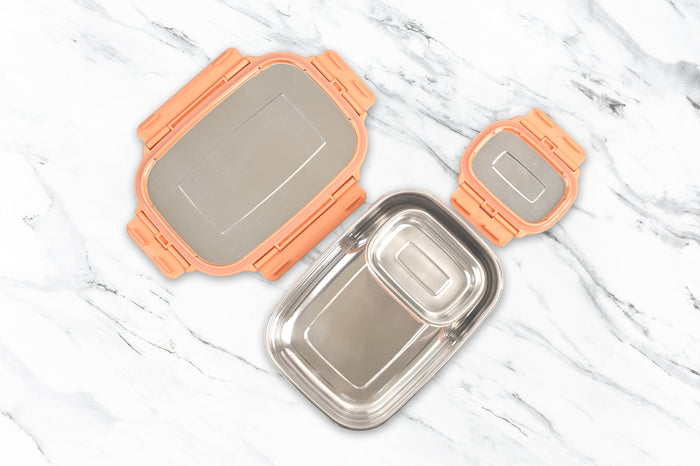 Veigo Jumbo Stainless Steel Lunch Box w/ Veg Box (All Ages)